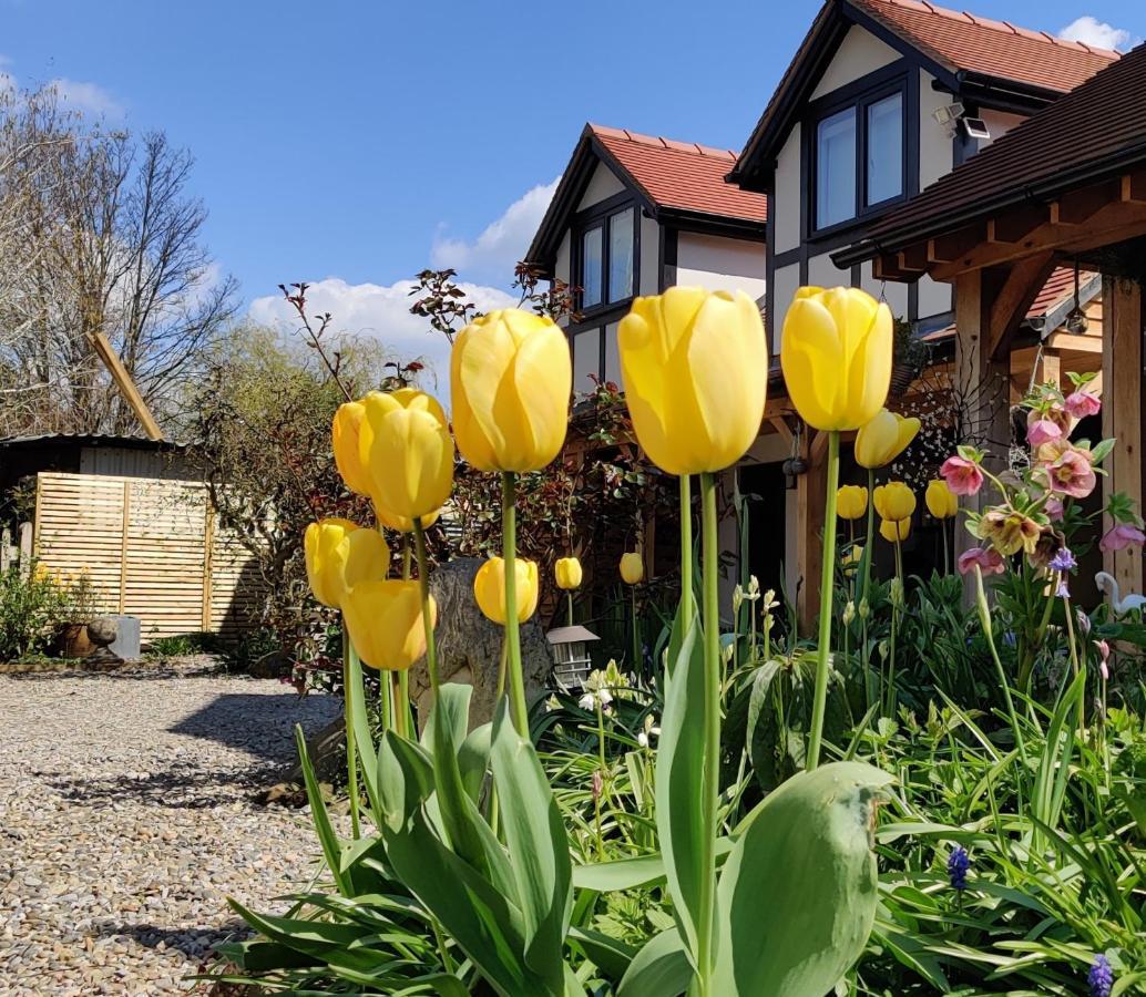 Delightful & Picturesque Modern Detached Apartment, Next To Chester Zoo, Near Park And Ride To City Centre Exteriér fotografie